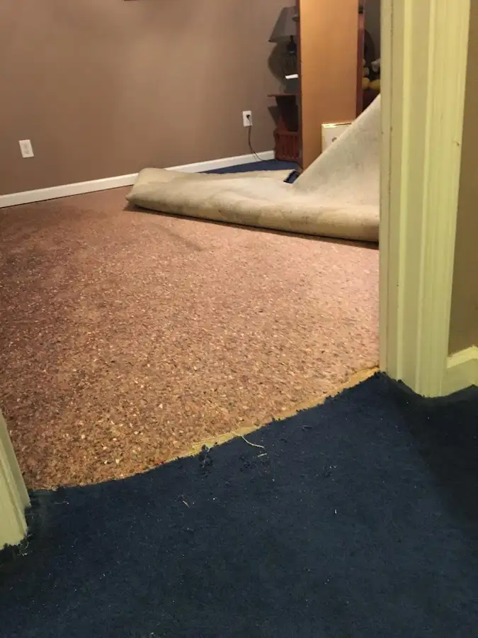 Carpet pad removal revealing water damage during Water Mitigation Services in Maryland Heights