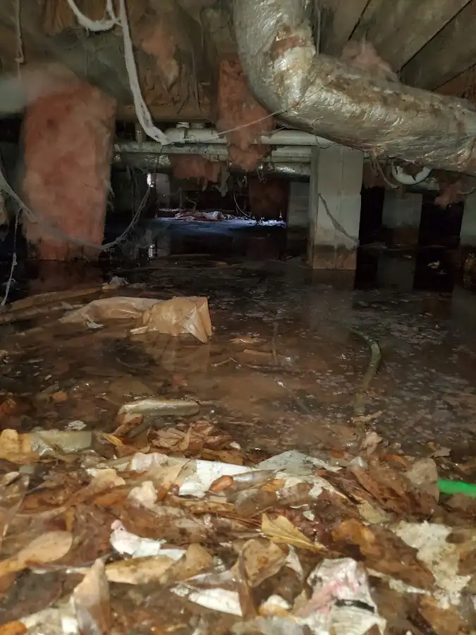 Crawl space flood assessment for Commercial Water Damage Restoration in Maryland Heights