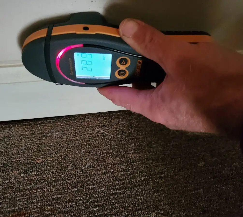 Moisture detection at baseboard during Mold Inspection & Testing in Maryland Heights